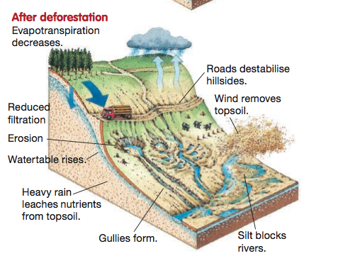 Week 1: What is Land Degradation? - APHSLinks